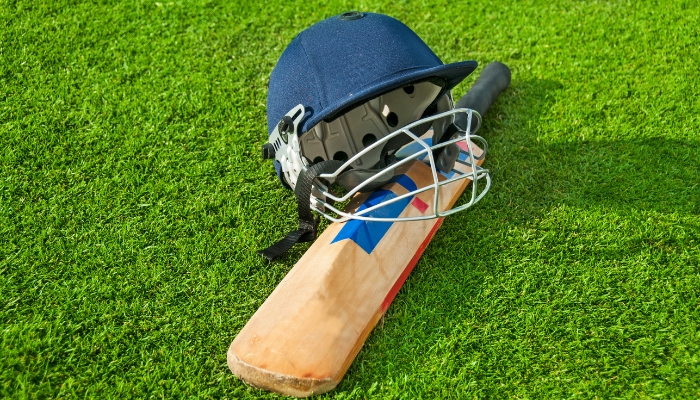 intro tips play cricket