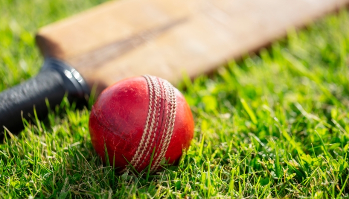 learn the field tips play cricket